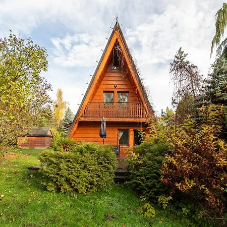 Janosik - Janosik Goralski - Cisza, Kominek, Raj Dla Dzieci I Psow * ウォプシュナ